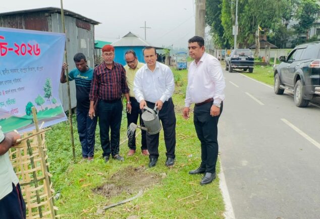 Tree-Plantation-at-Stadium-Road-Gaibandha-Pourashava.